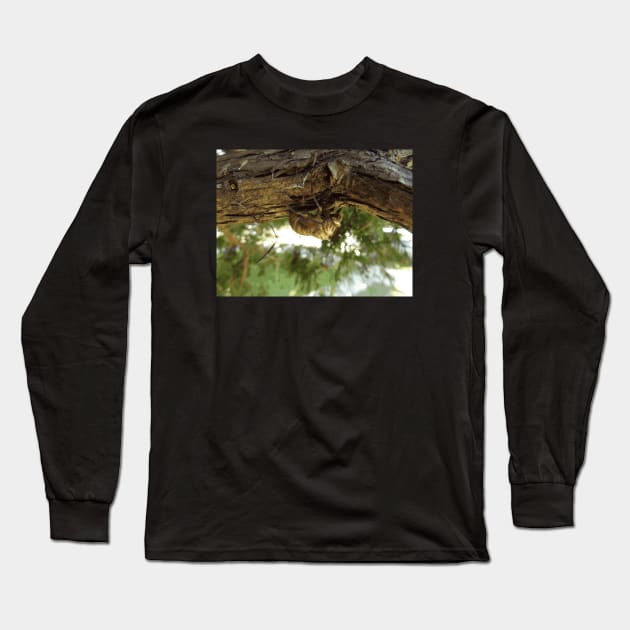 ⁣Cicada shell. It was in a hurry. Long Sleeve T-Shirt by someartworker